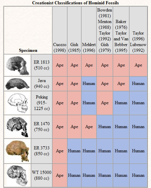 Creation Scientists can't agree which hominds are human and which are ape