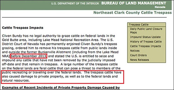 blm federal land bundy cattle