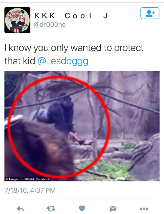 milo-leslie-jones-twitter-gorilla-pic