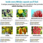 mitolyn-supplement-review-2025-mitolyn-consumer-reports-complaints-ingredients