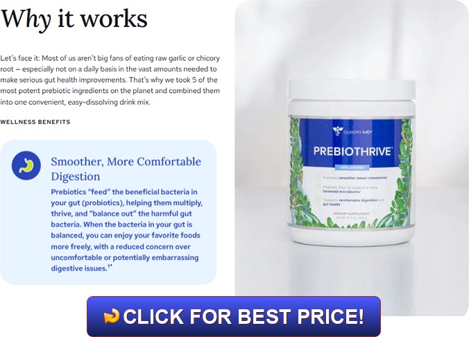 Gundry MD PrebioThrive Review: Real Reviews of This Prebiotic Supplement