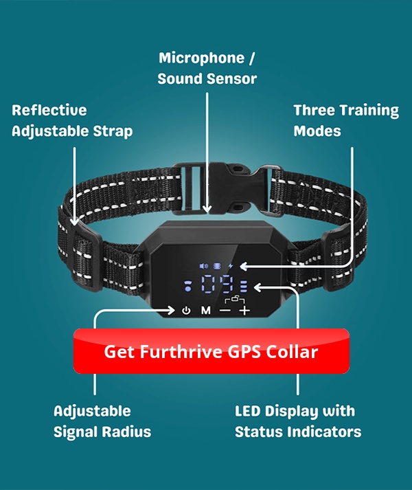 Furthrive Reviews: GPS Collar Scam or Legit? [2026]
