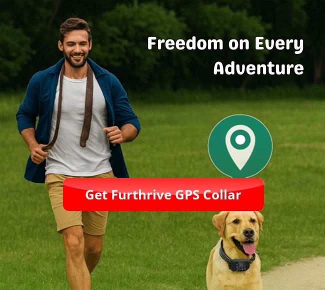 Furthrive Reviews: GPS Collar Scam or Legit? [2026]