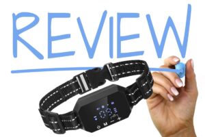 Furthrive Reviews: GPS Collar Scam or Legit? [2026]